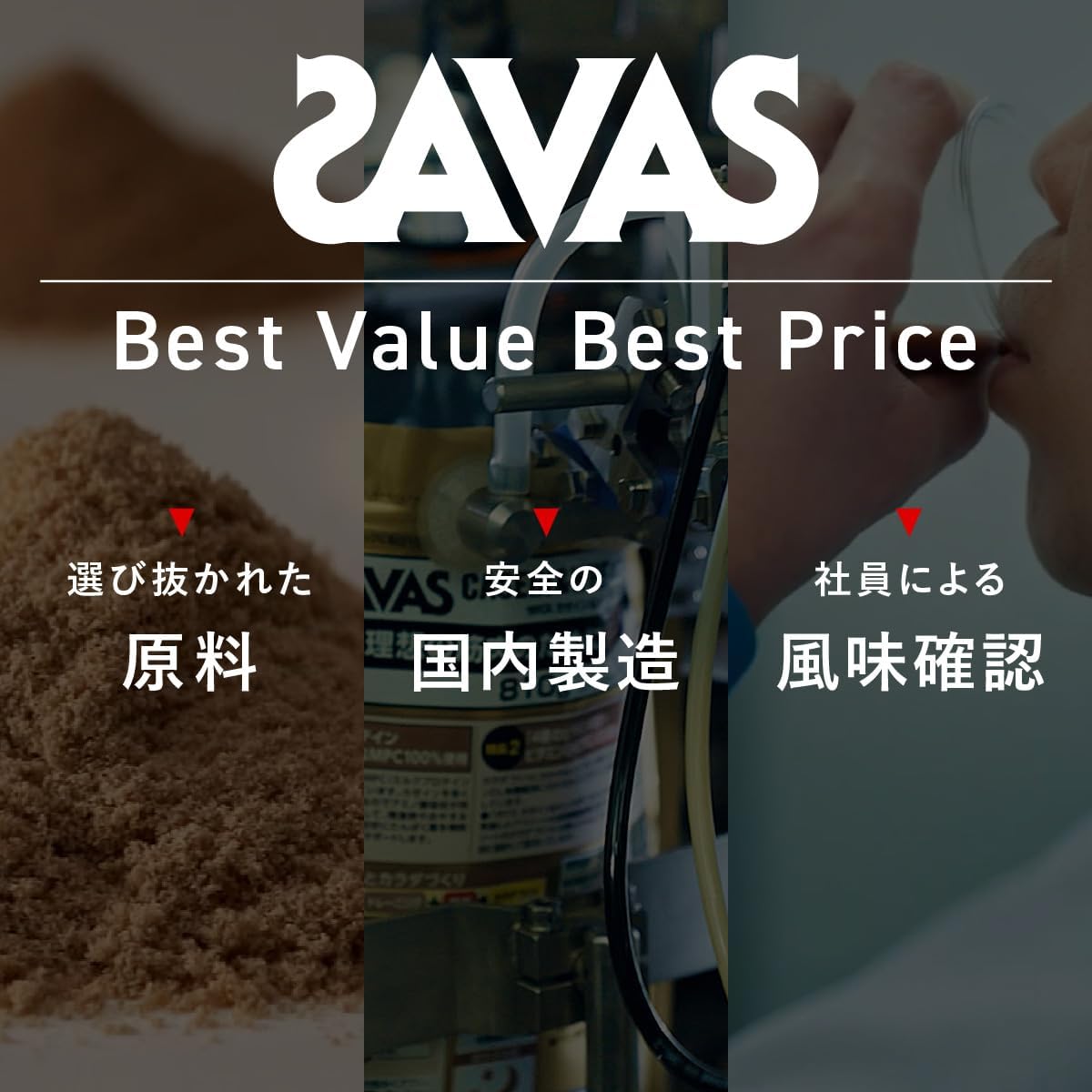 ザバス ホエイプロテイン100 マルチビタミン＆ミネラル ブルーベリーヨーグルト味 450g×10個セット(4500g)